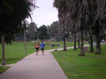 Passing a group of palm trees